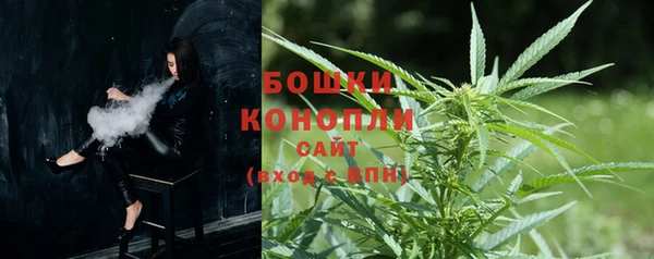 тгк Богданович
