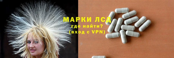 тгк Богданович