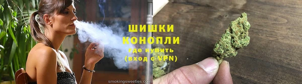 мдпв Богородск