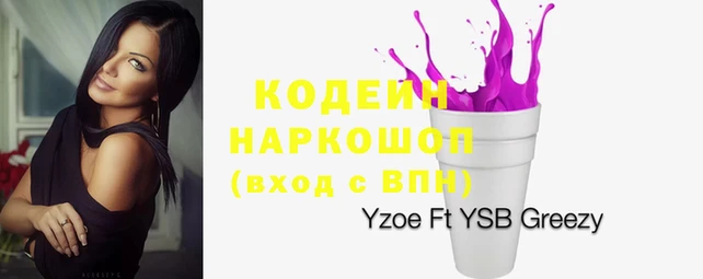 тгк Богданович
