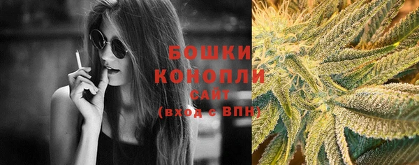 стафф Бронницы