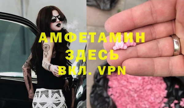 мдпв Богородск